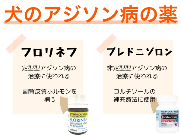 アジソン病の治療薬通販｜犬｜ぽちたま薬局